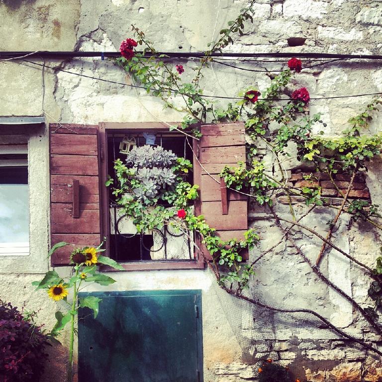 Villa Segalla Rovinj Dış mekan fotoğraf
